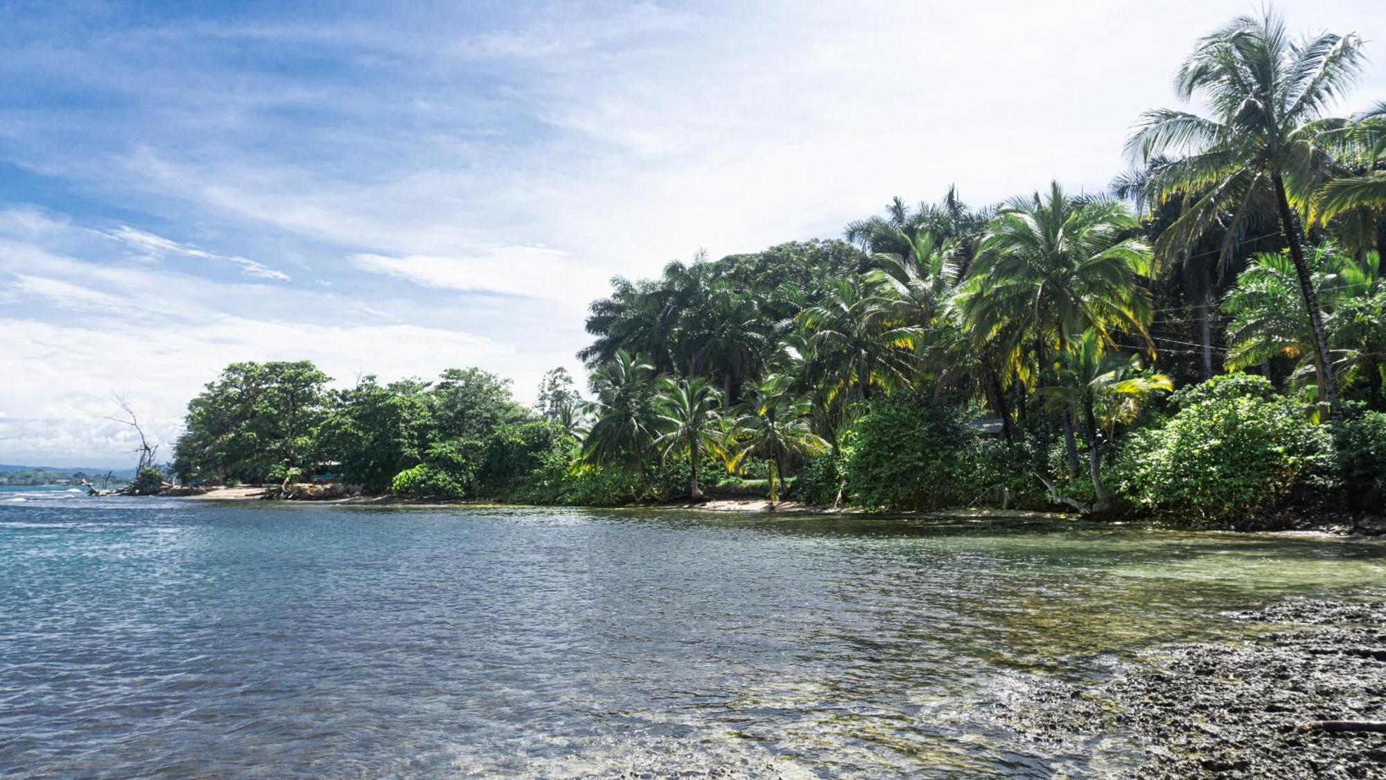 Bocas Garden Lodges Bocas del Toro Extérieur photo