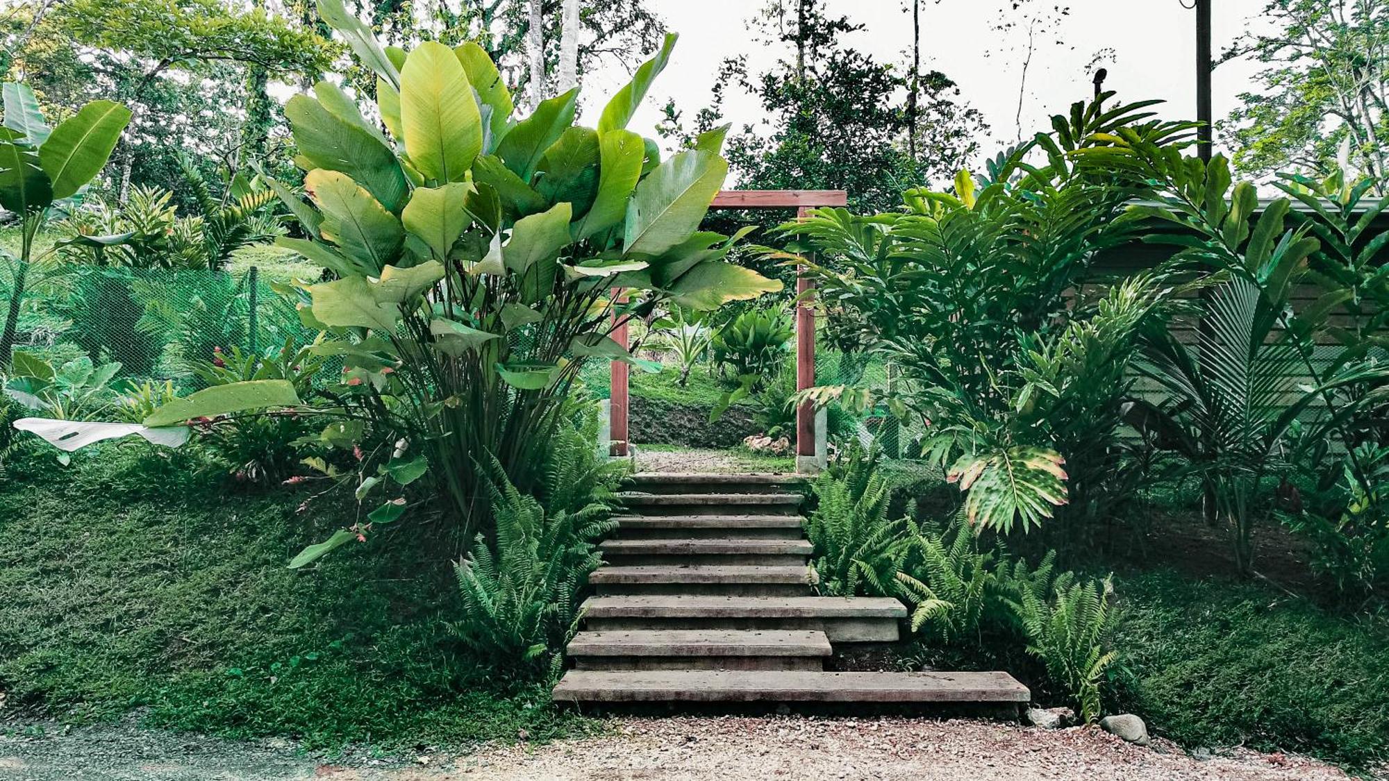 Bocas Garden Lodges Bocas del Toro Extérieur photo