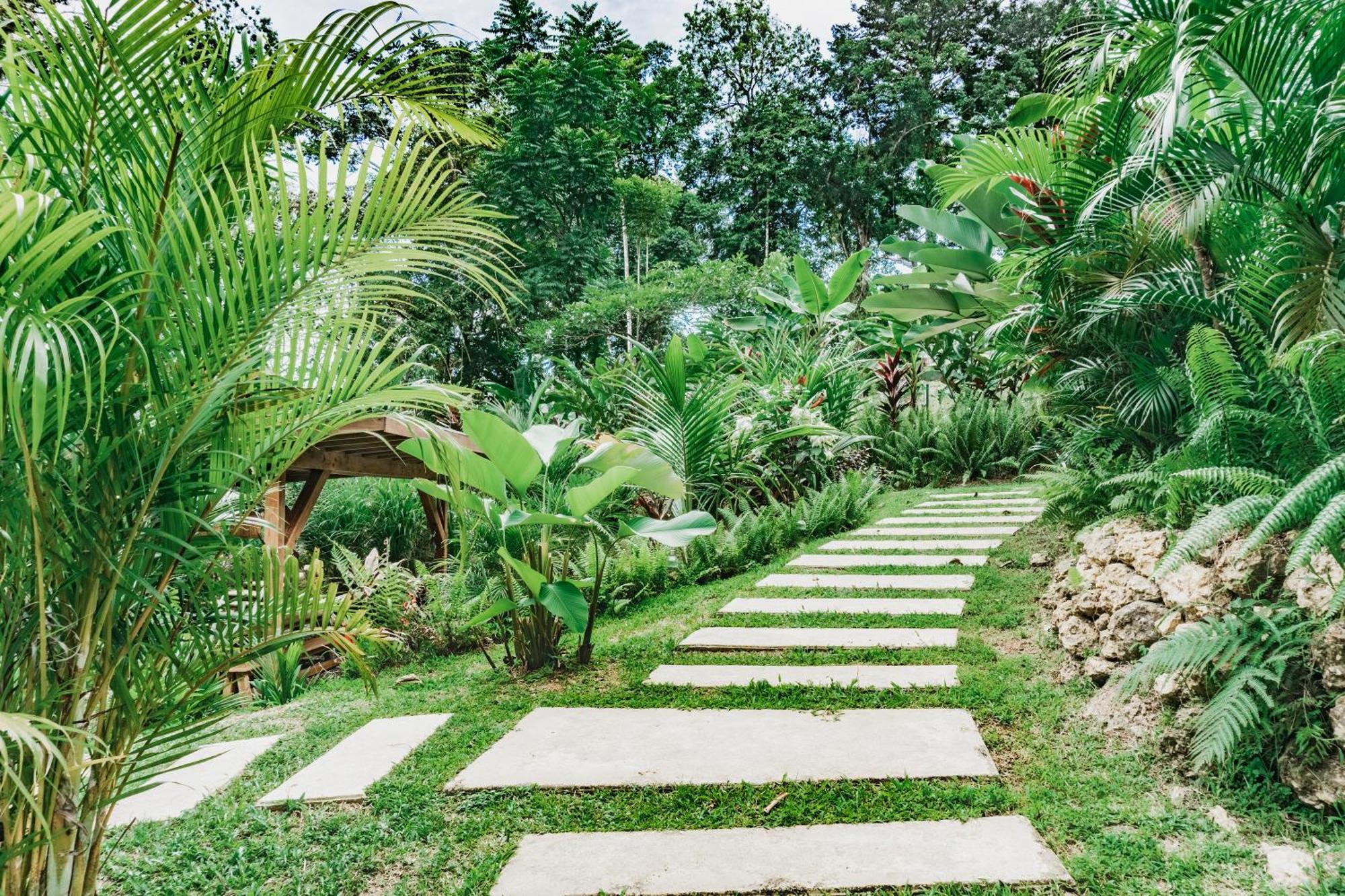 Bocas Garden Lodges Bocas del Toro Extérieur photo